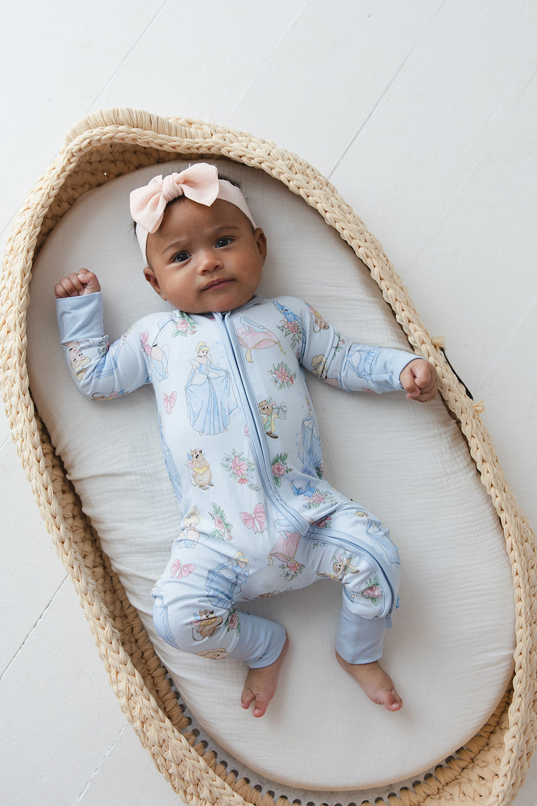 The Lost Slipper - Zippy