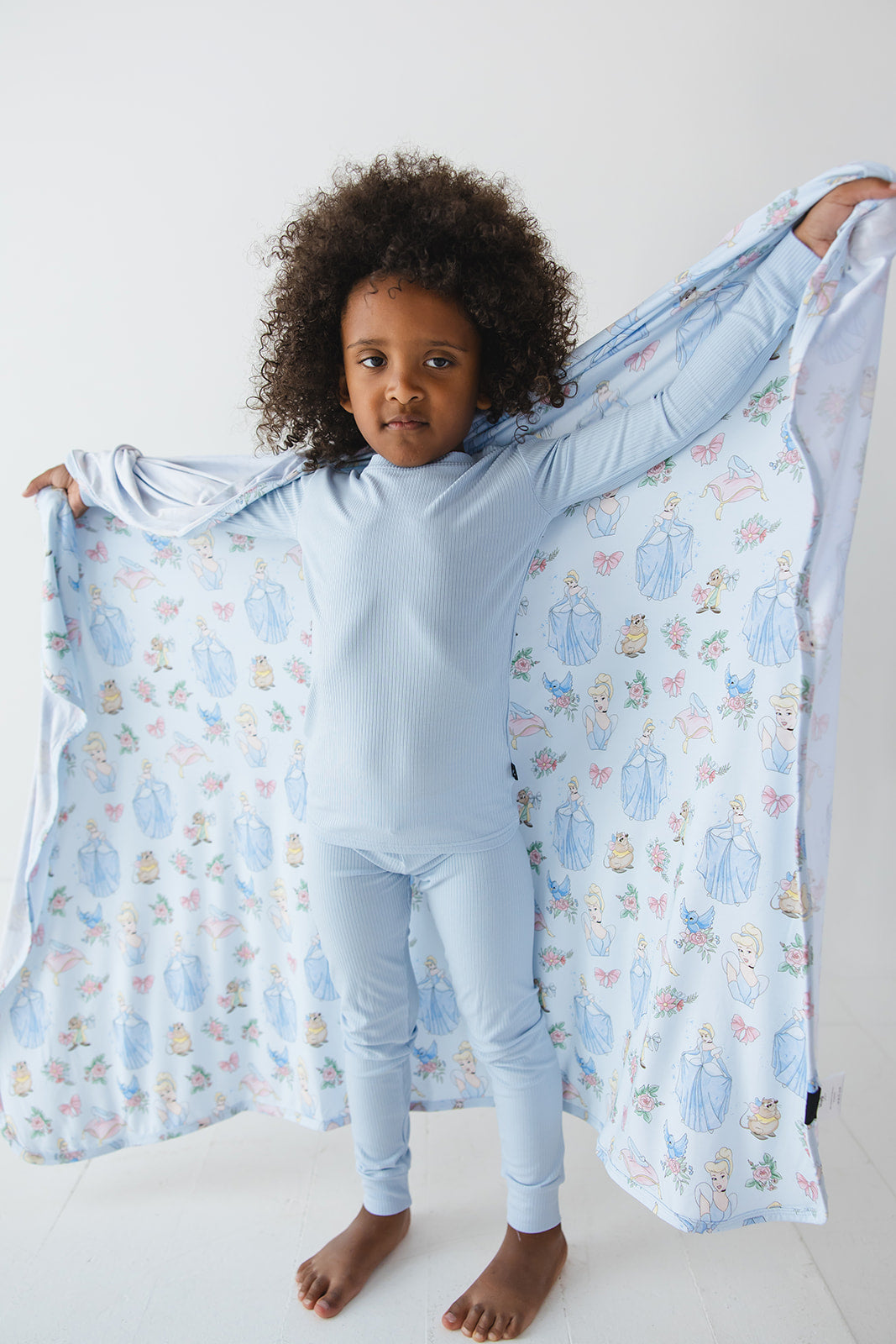 The Lost Slipper - Lightweight Blanket