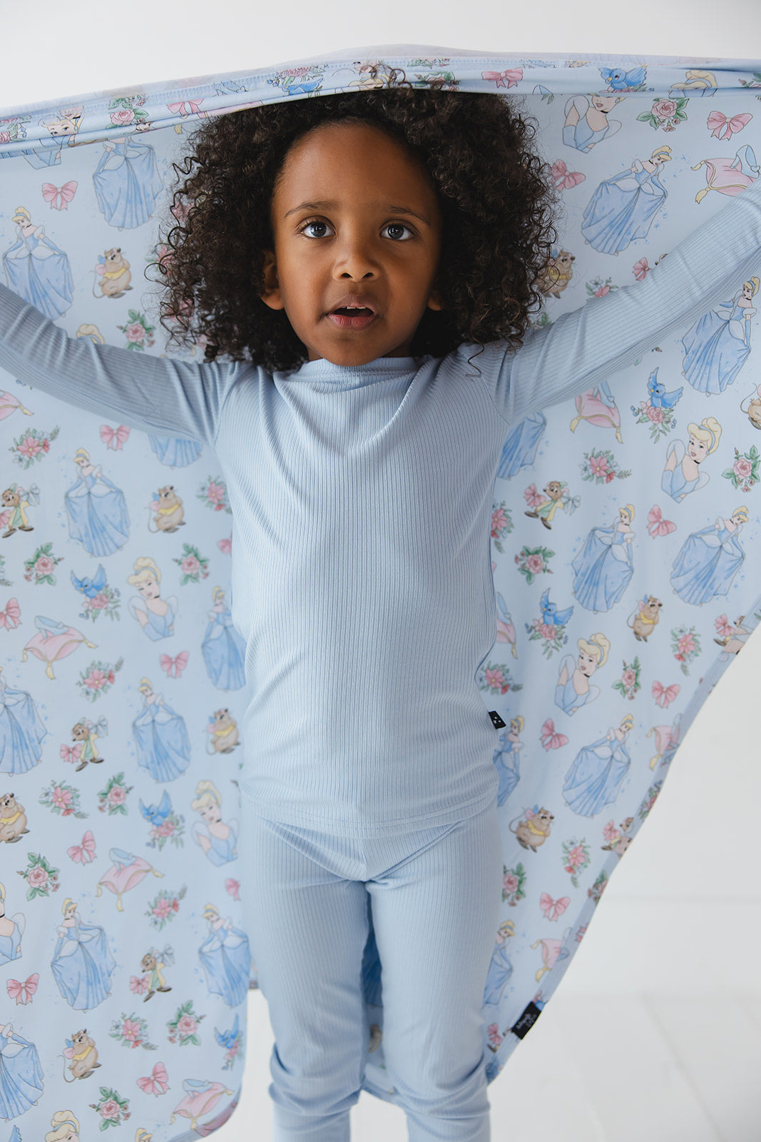 The Lost Slipper - Lightweight Blanket