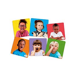 Inclusion Puzzle Set Of 4
