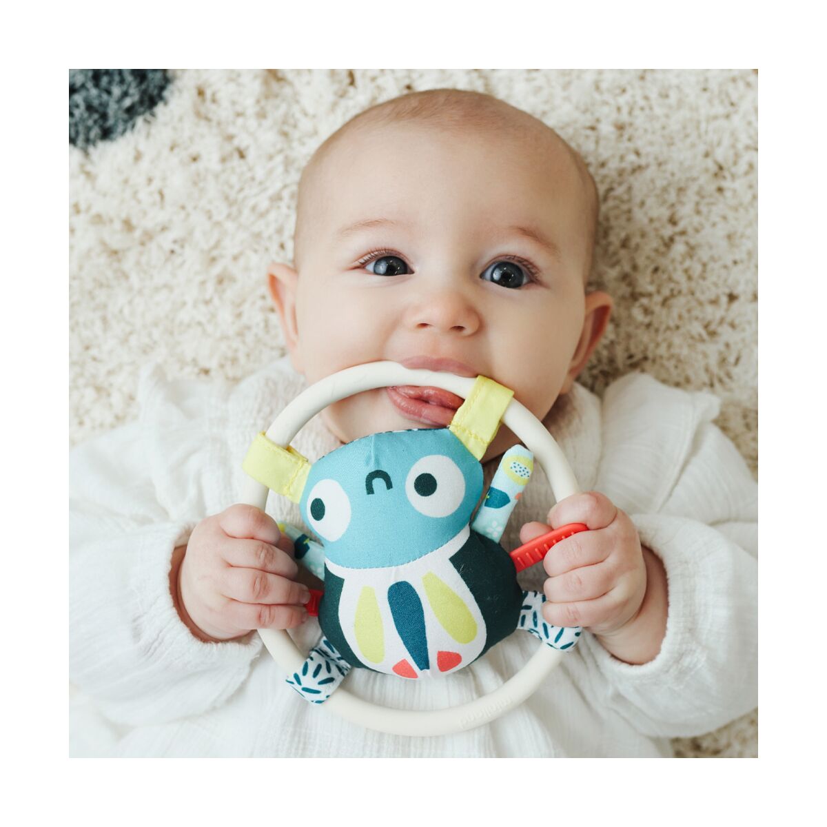 Feel To Learn: Spider Rattle