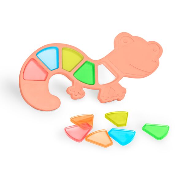 Feel To Learn: Translucent Colorful Lizard