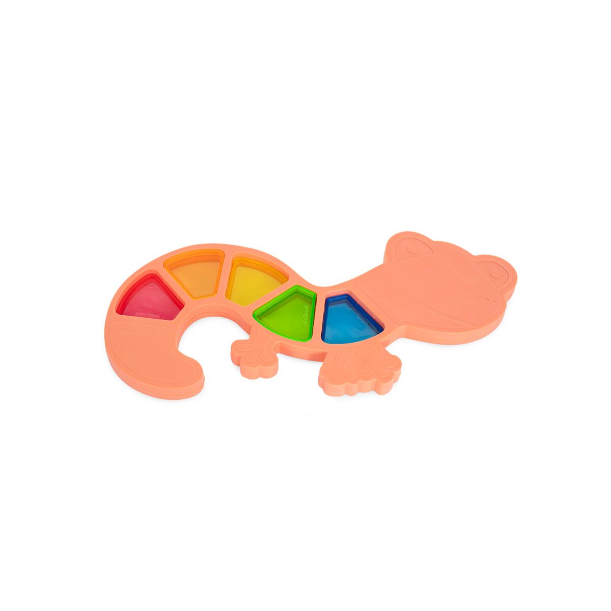 Feel To Learn: Translucent Colorful Lizard
