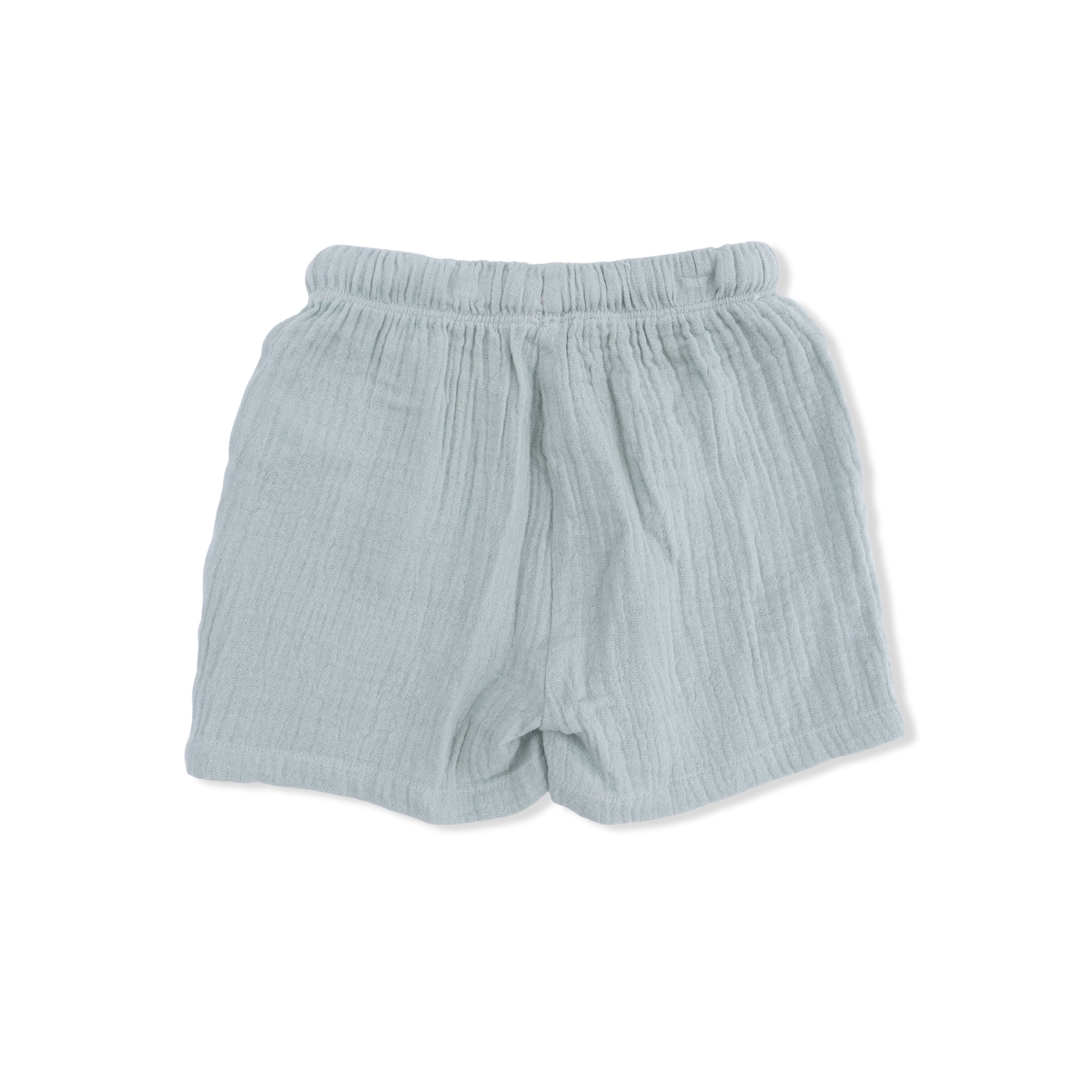 Sea Turtles - Polo With Casual Short