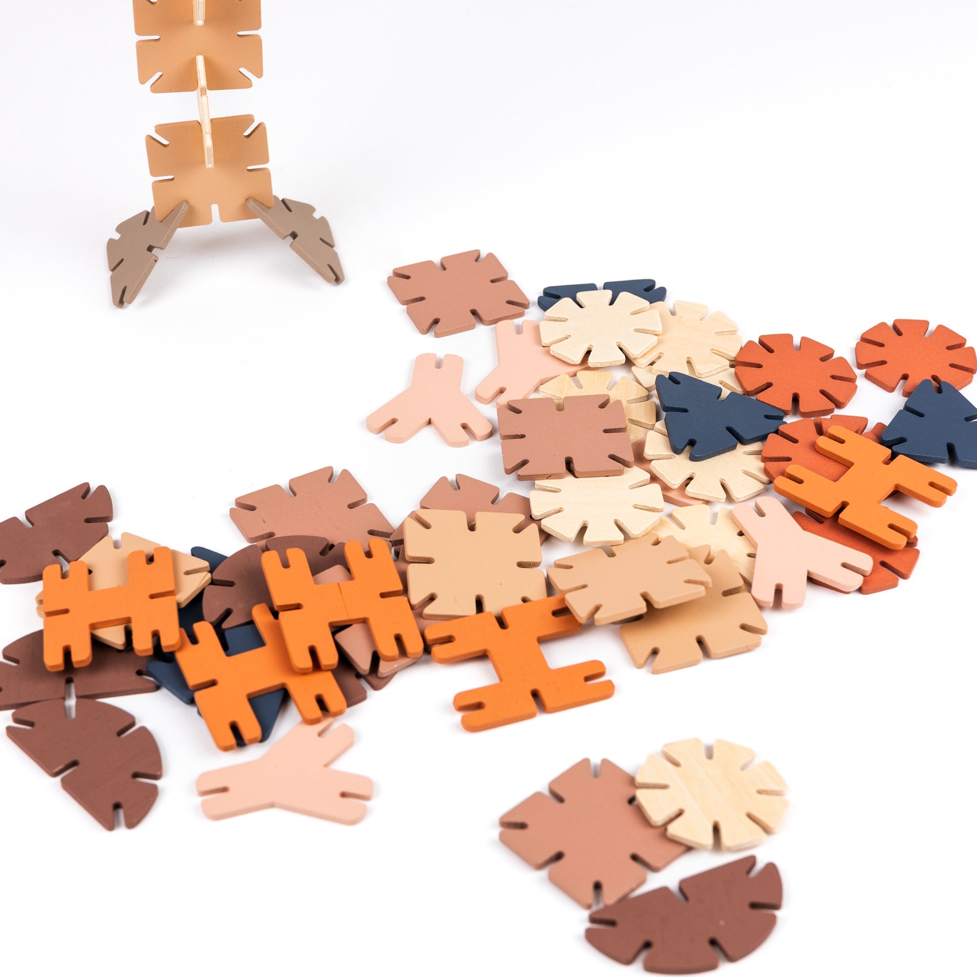 Wooden Connecting Shapes