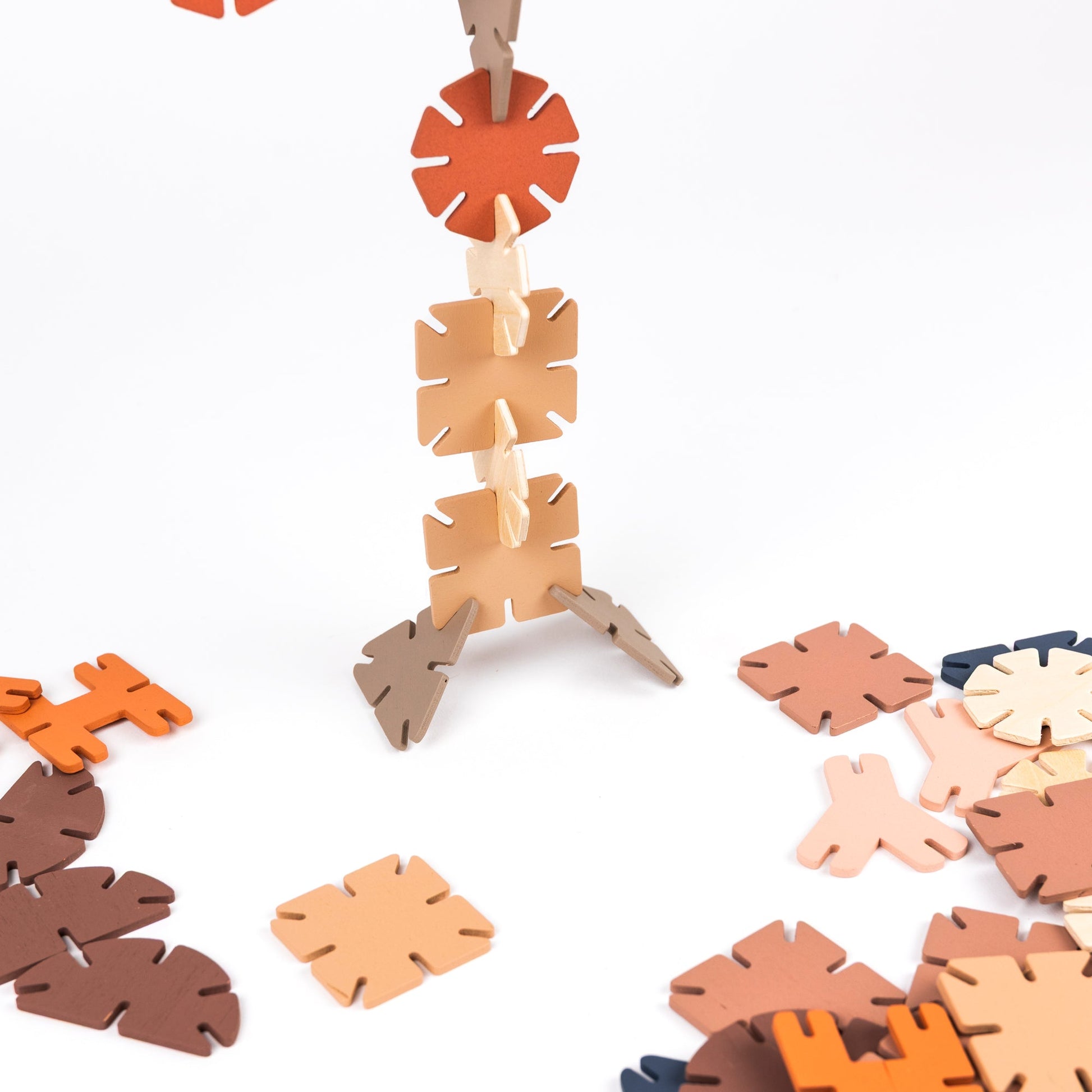 Wooden Connecting Shapes
