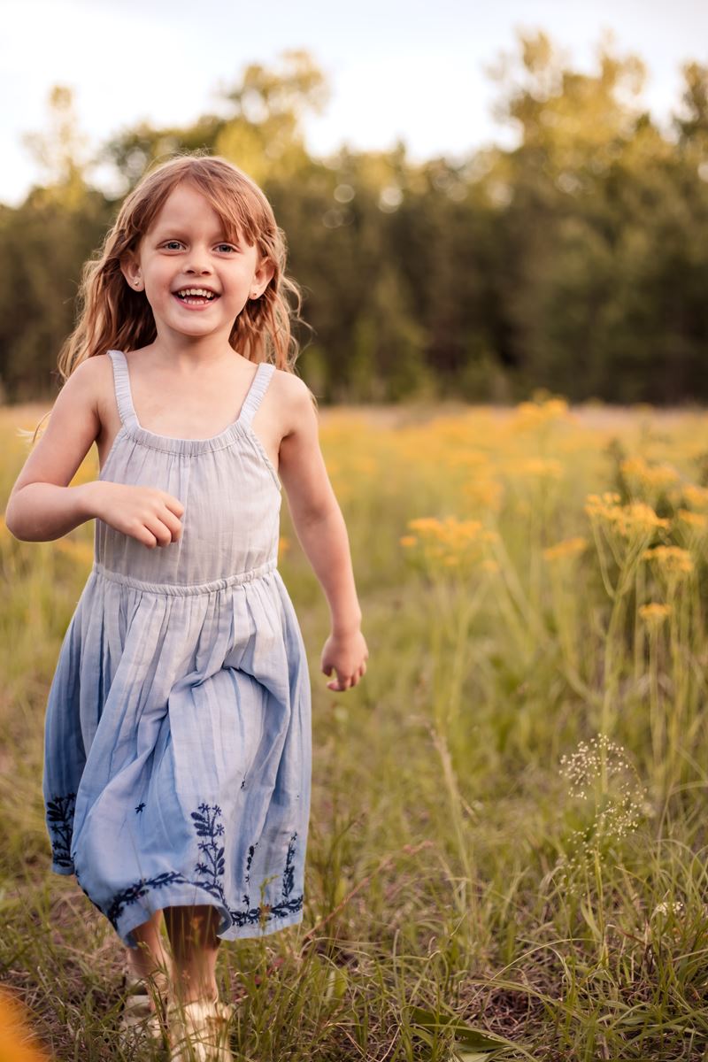 Leila Dress In Blue