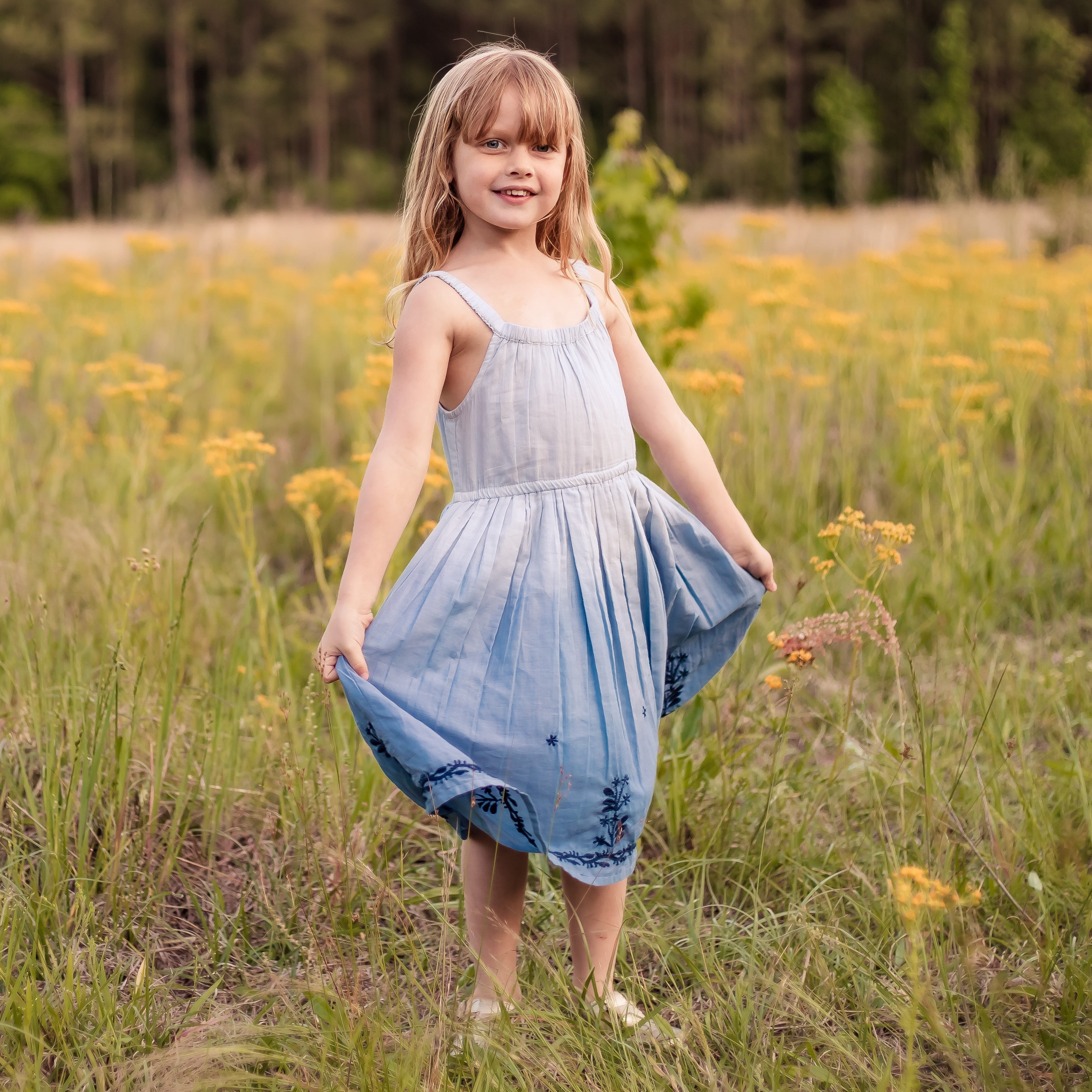 Leila Dress In Blue