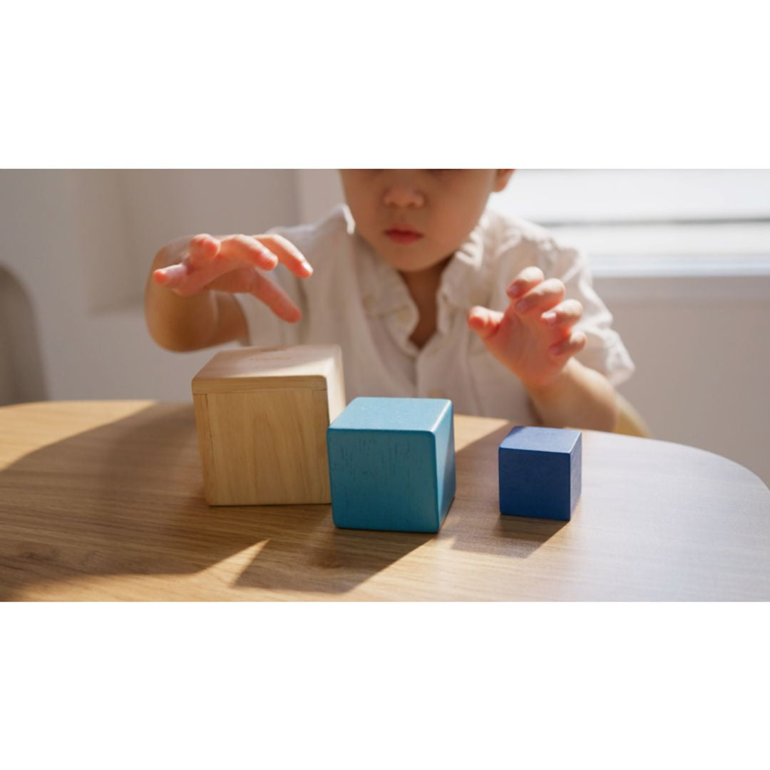 Nesting Boxes