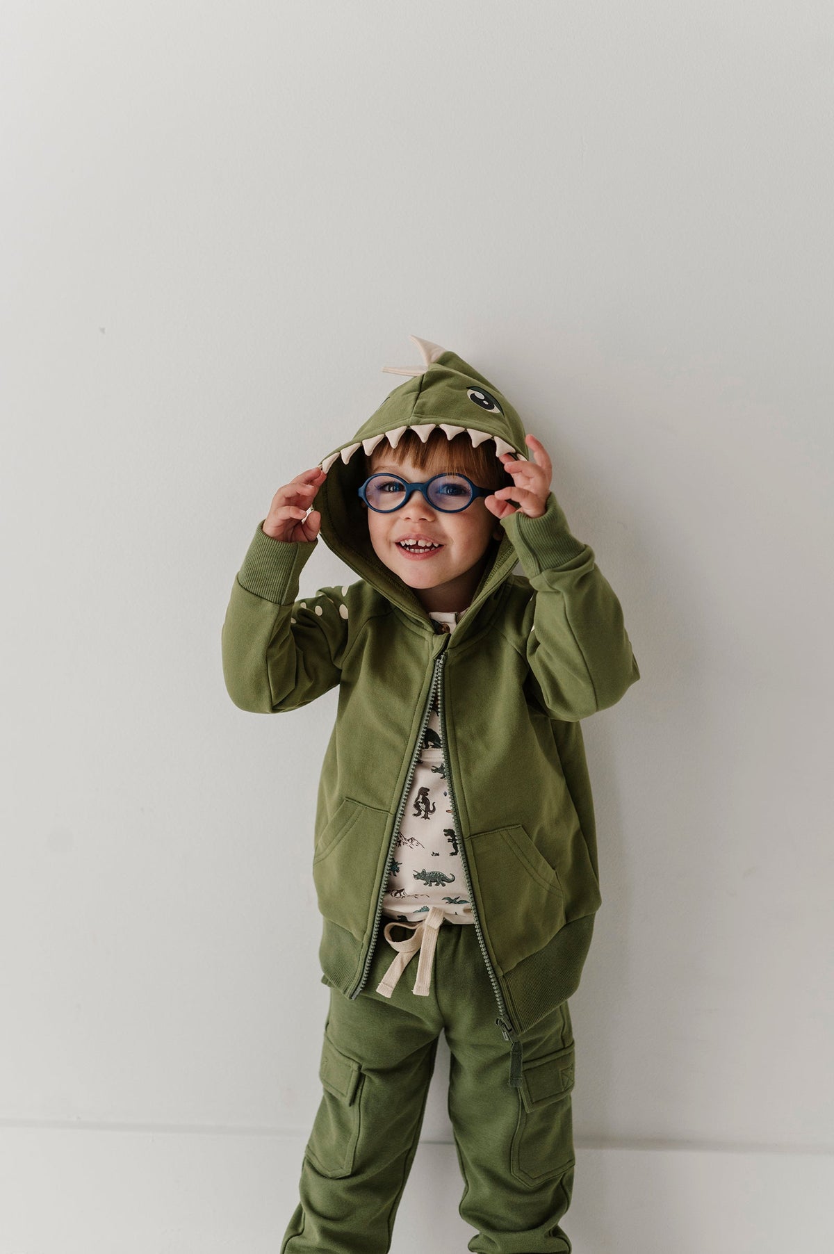 Boys Hooded Jacket In Dinosaur