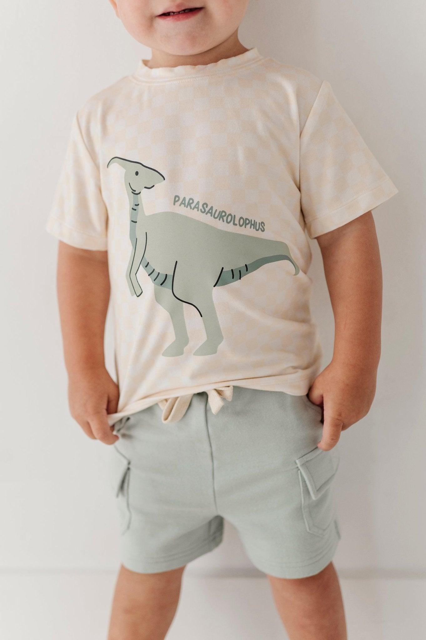 Boys Cargo Shorts In Aqua Grey