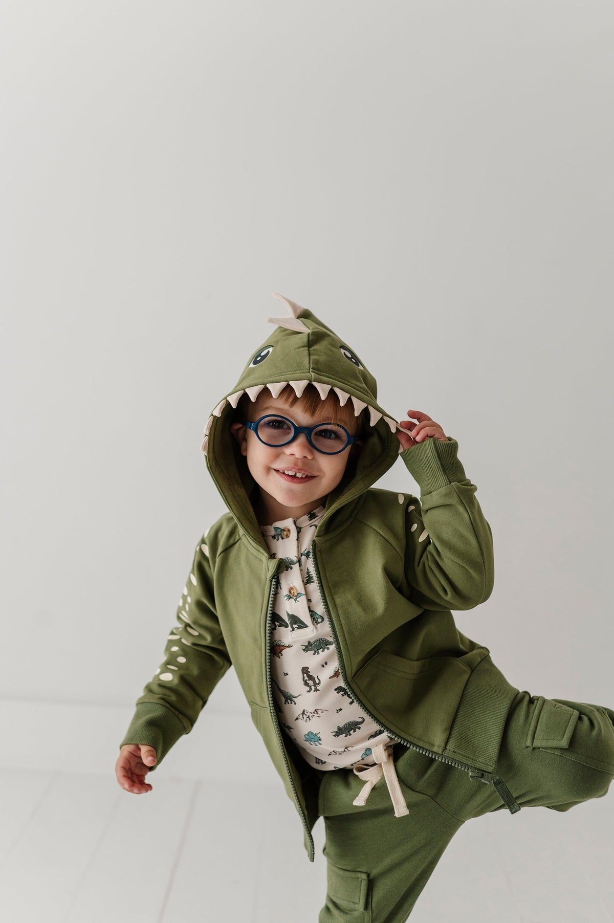 Boys Hooded Jacket In Dinosaur