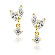 Bella Cz Stud