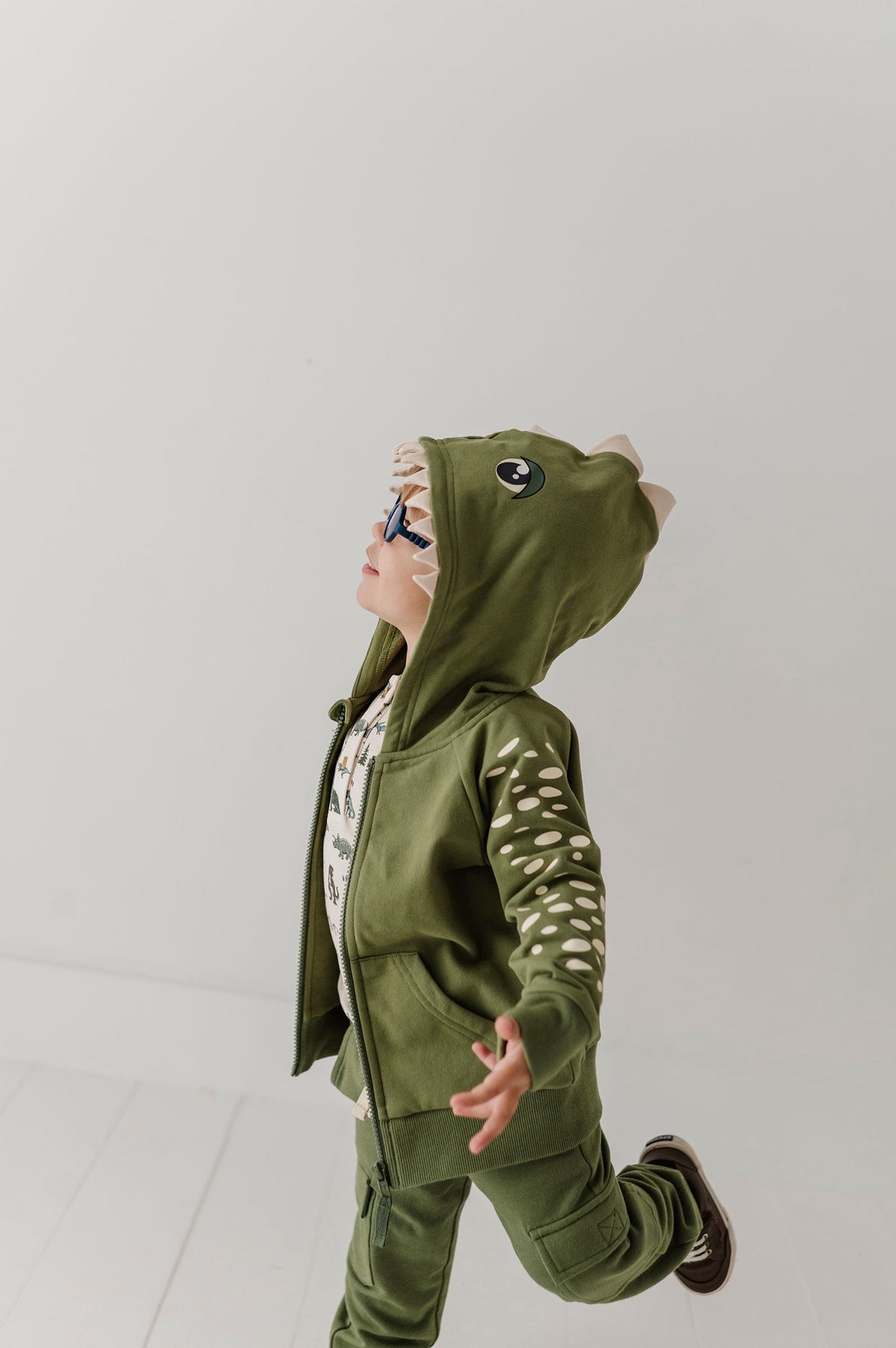 Boys Hooded Jacket In Dinosaur