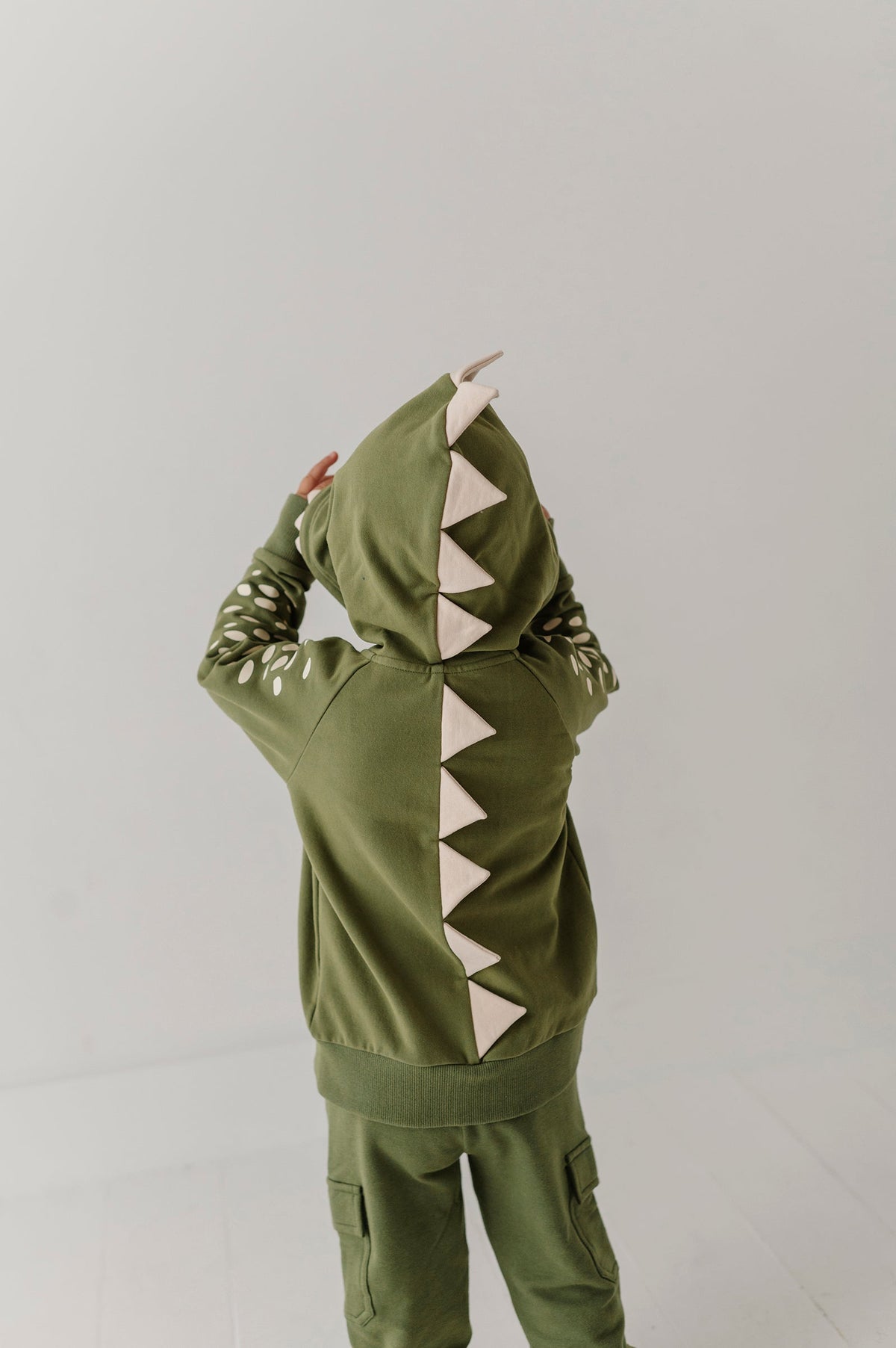 Boys Hooded Jacket In Dinosaur