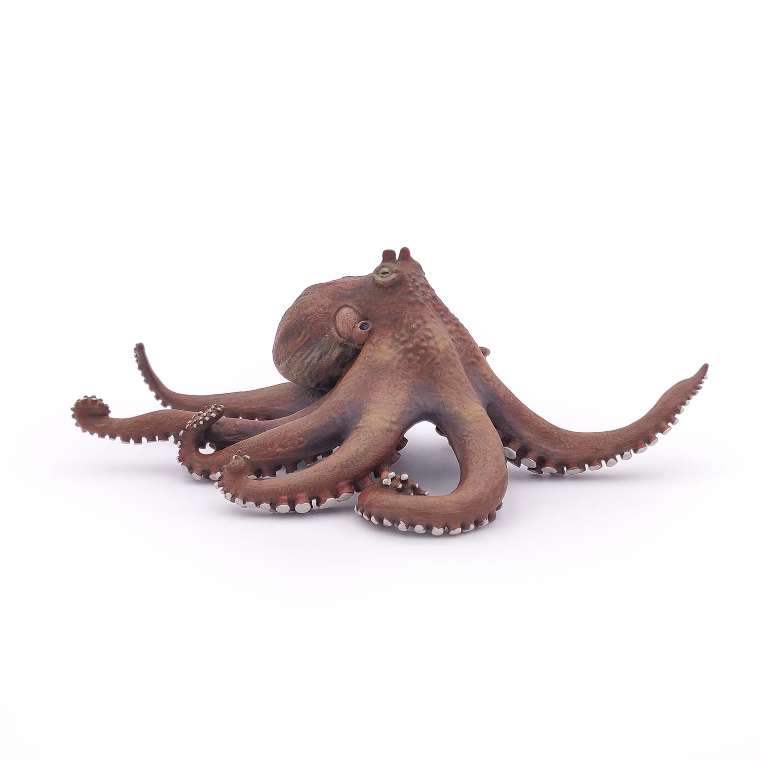 Papo France Octopus
