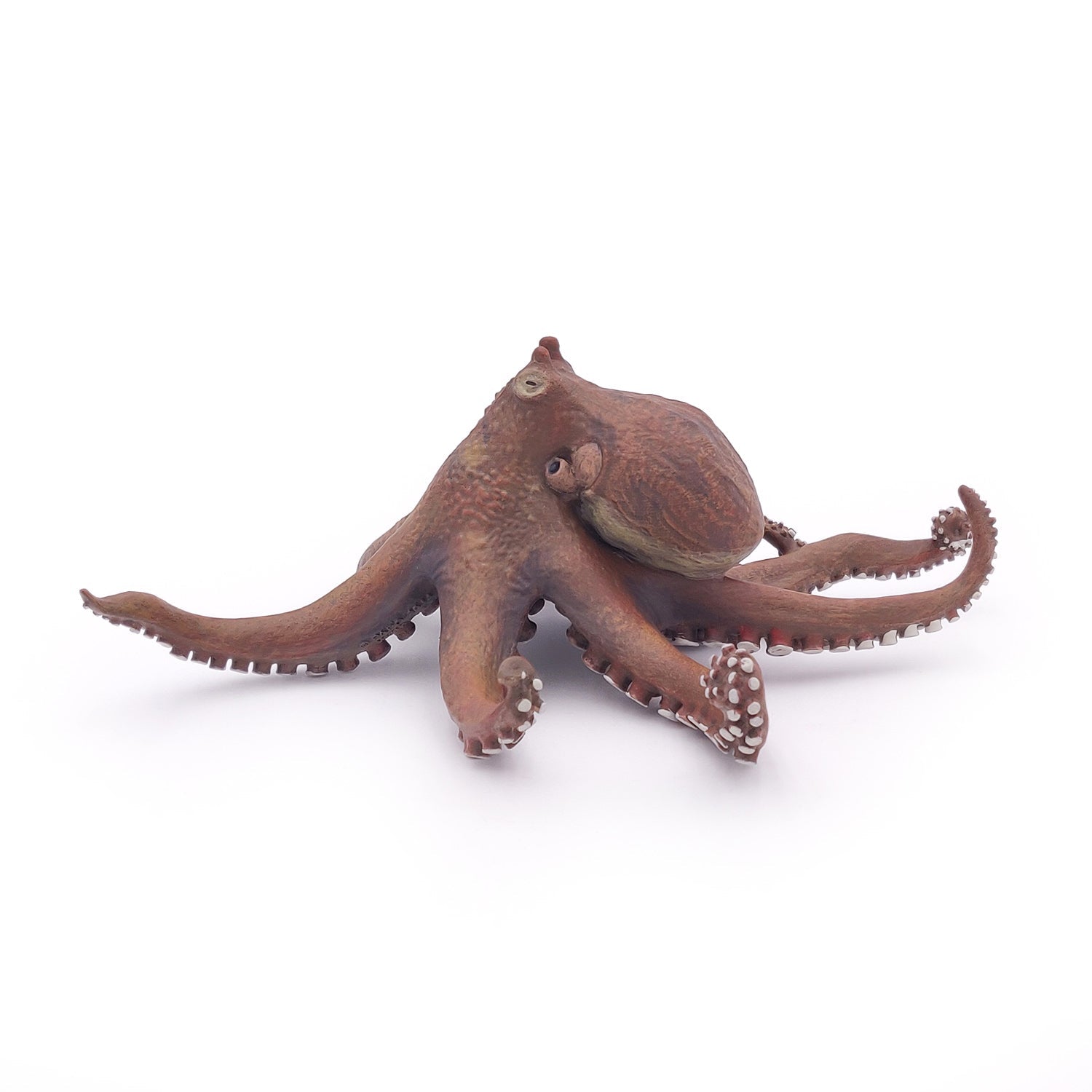 Papo France Octopus