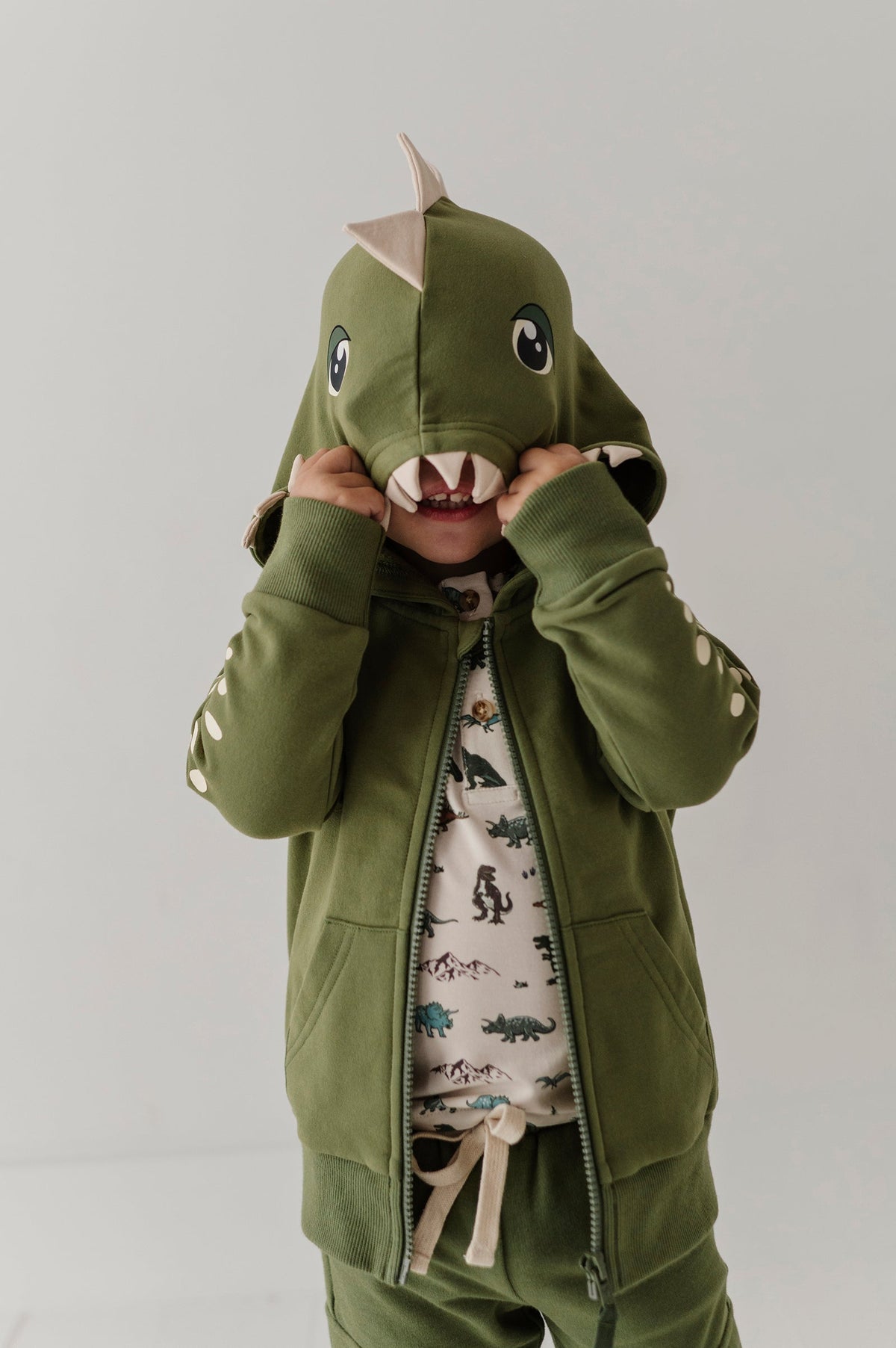 Boys Hooded Jacket In Dinosaur