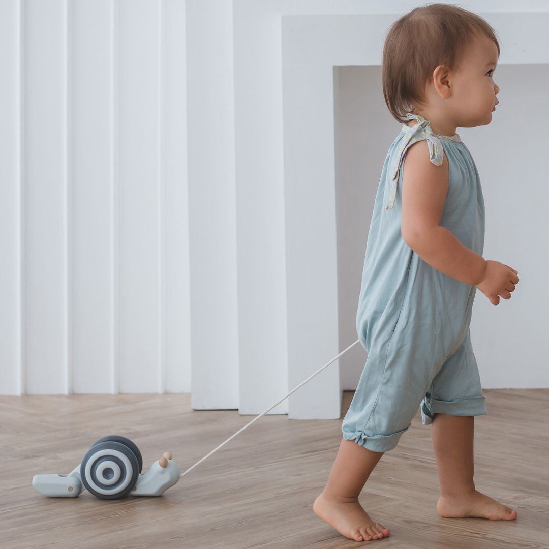 Pull-along Snail Mono