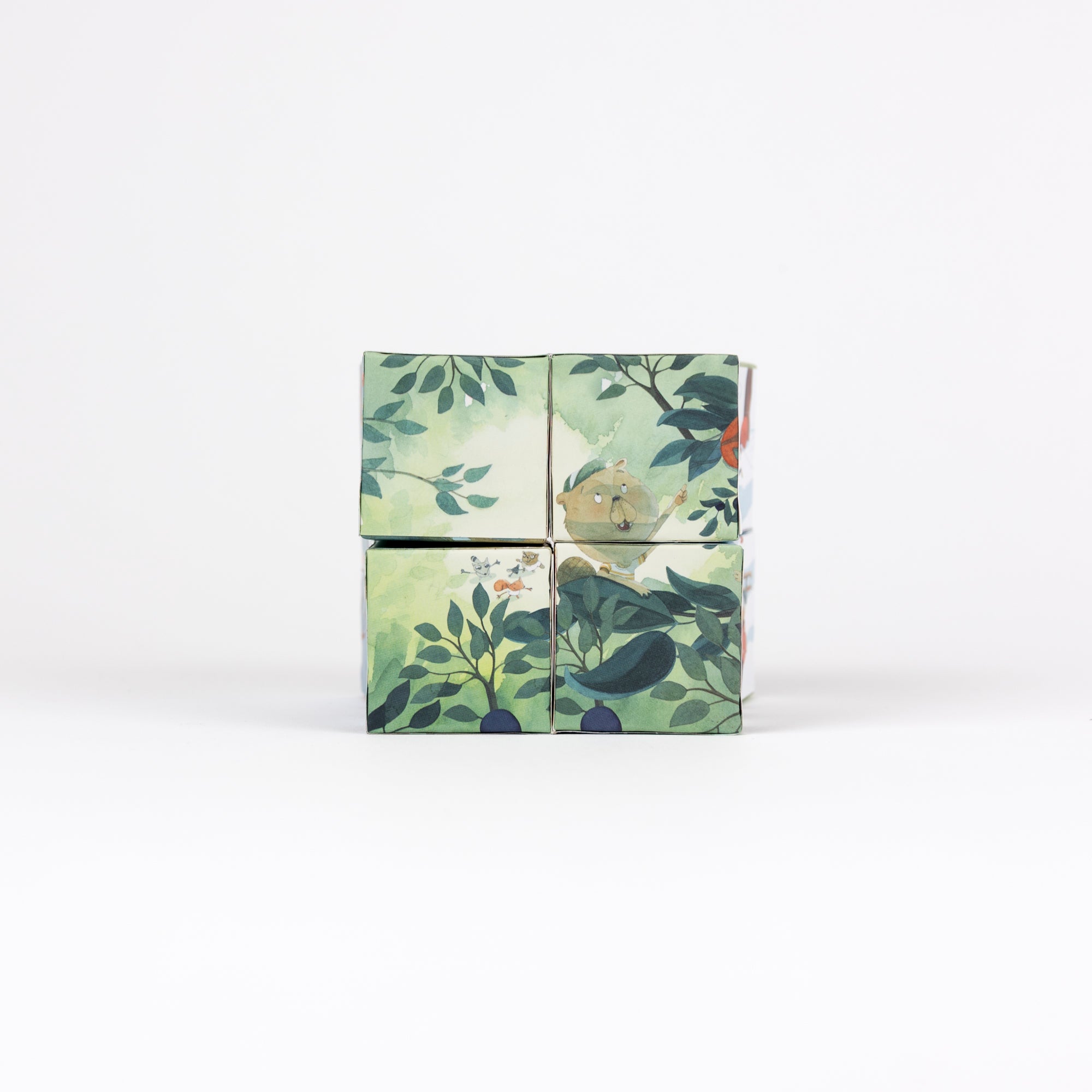Seasons Infinity Cube