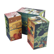 Seasons Infinity Cube