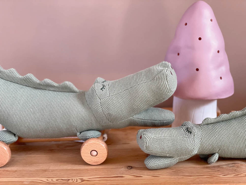 Pull-Along Croc
