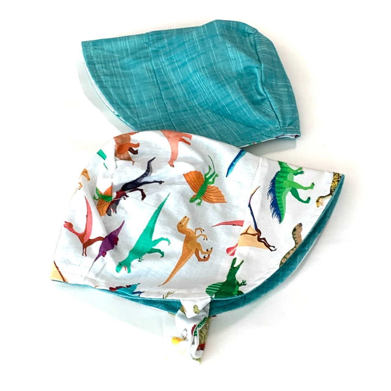 Bonnet In Dinosaurus