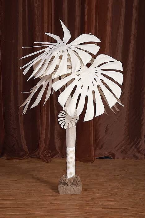 5' White Philodendron Tree