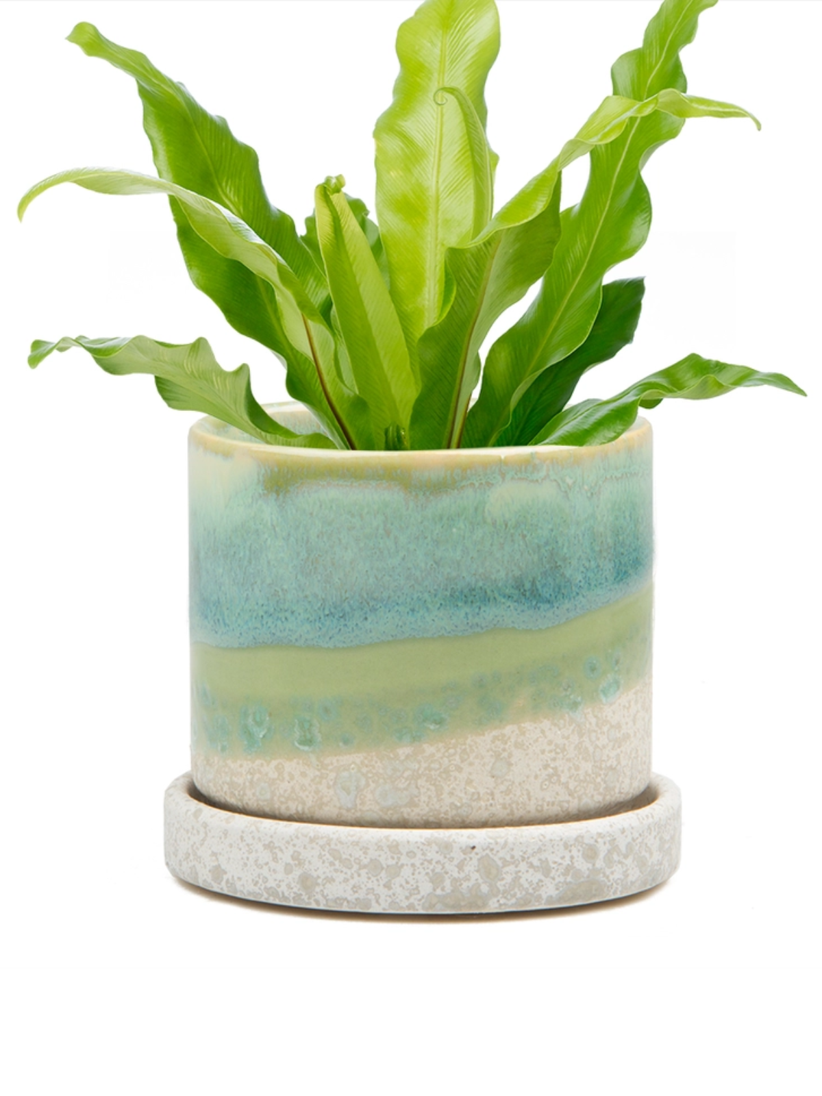 Cement Green Ceramic Plant Pot And Saucer