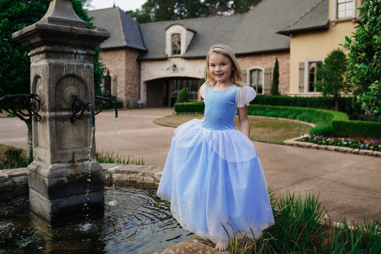 The Princess Cinderella Blue Costume Dress