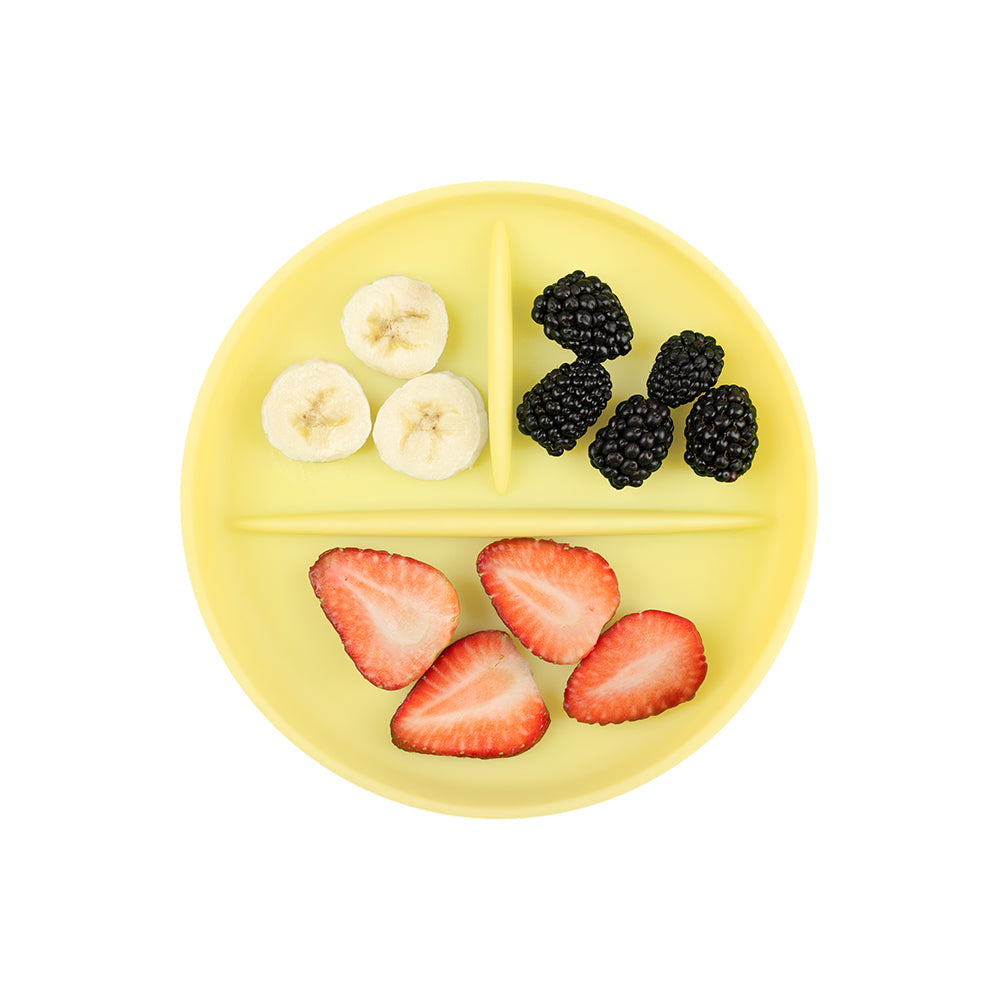 Divided Suction Plate For Independent Feeding
