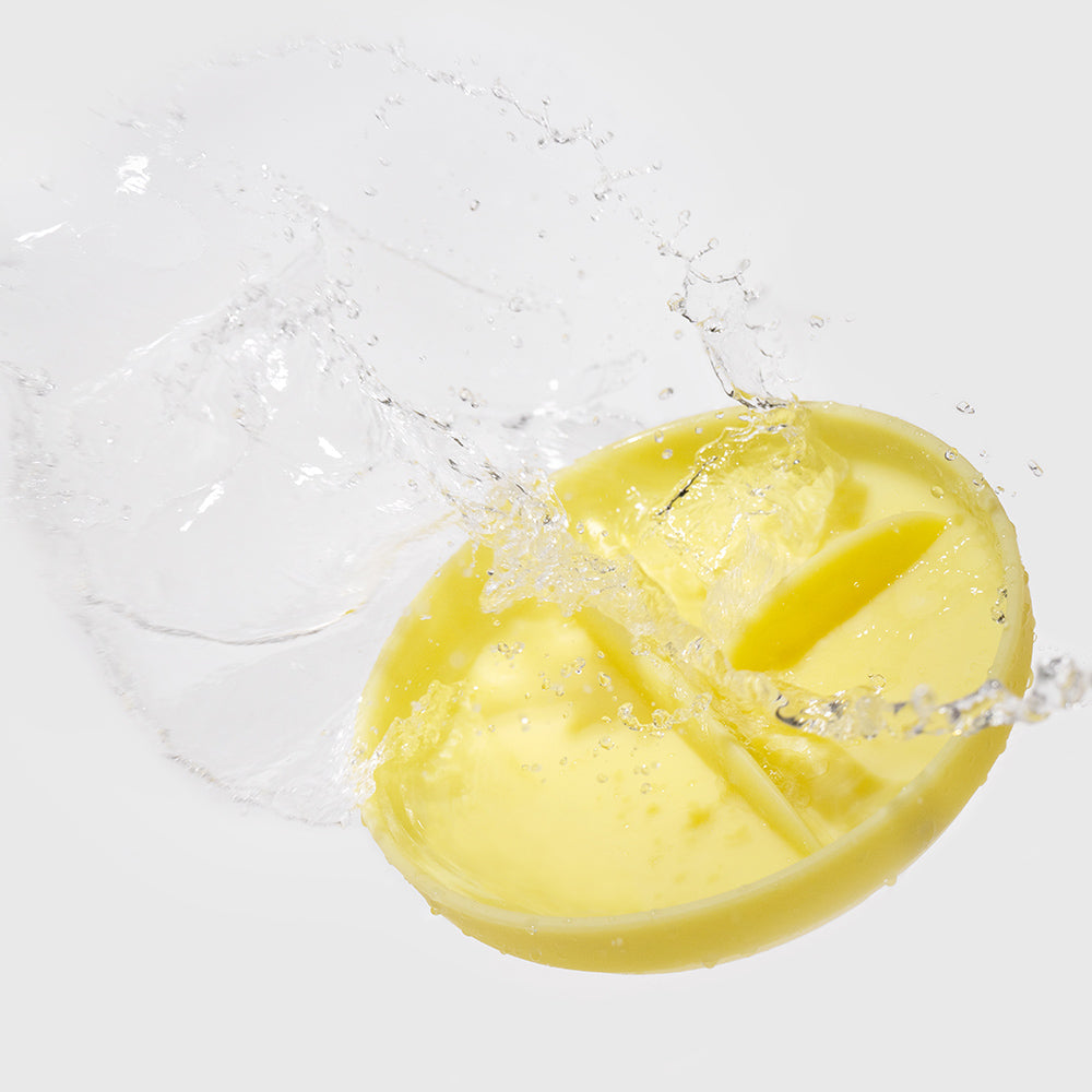 Divided Suction Plate For Independent Feeding