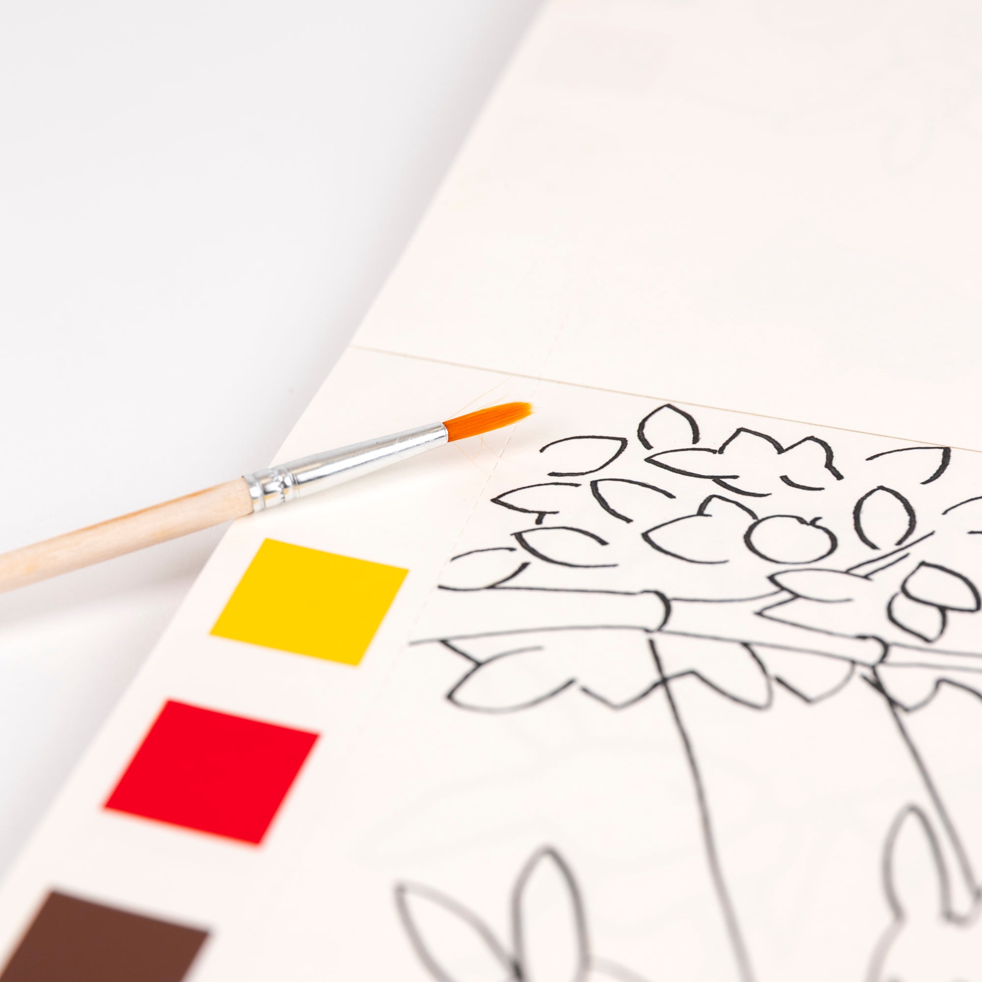 Coloring Book to Paint