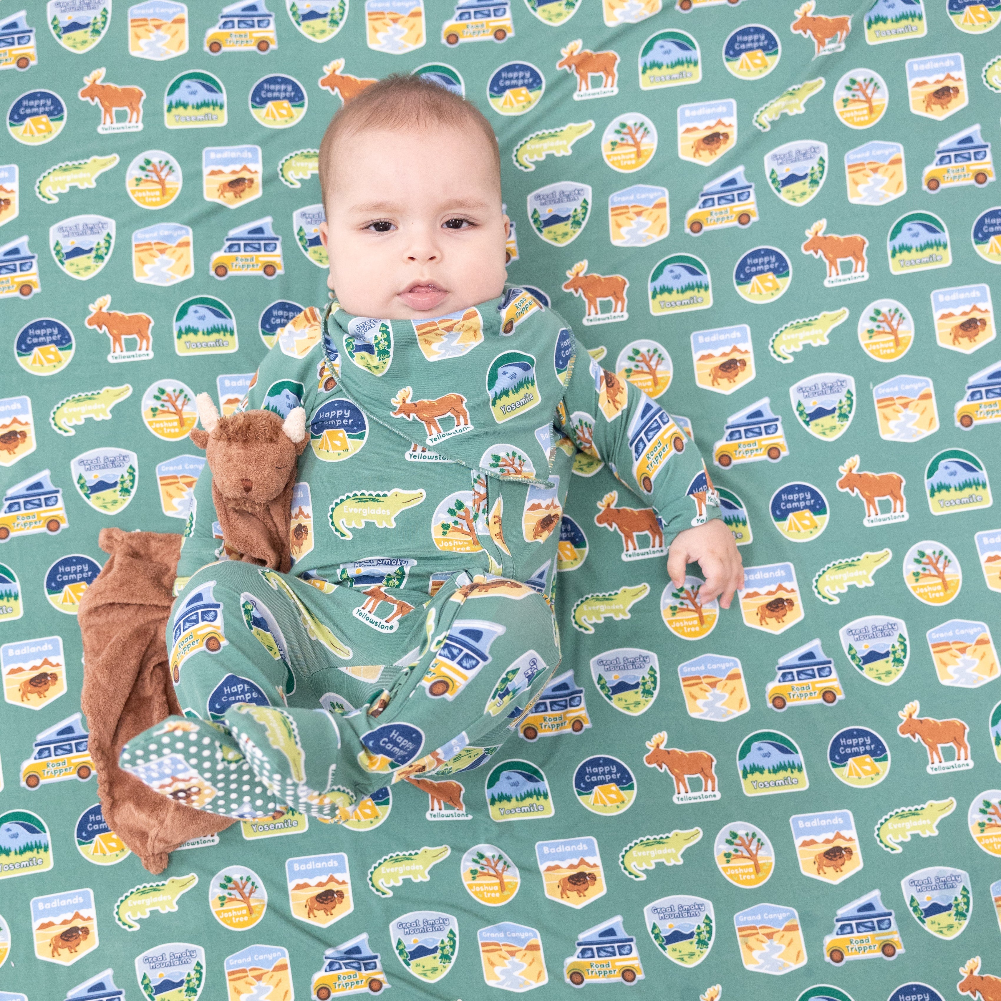 Swaddle Blanket - National Park Stickers