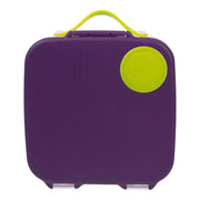Lunchbox - Passion Splash
