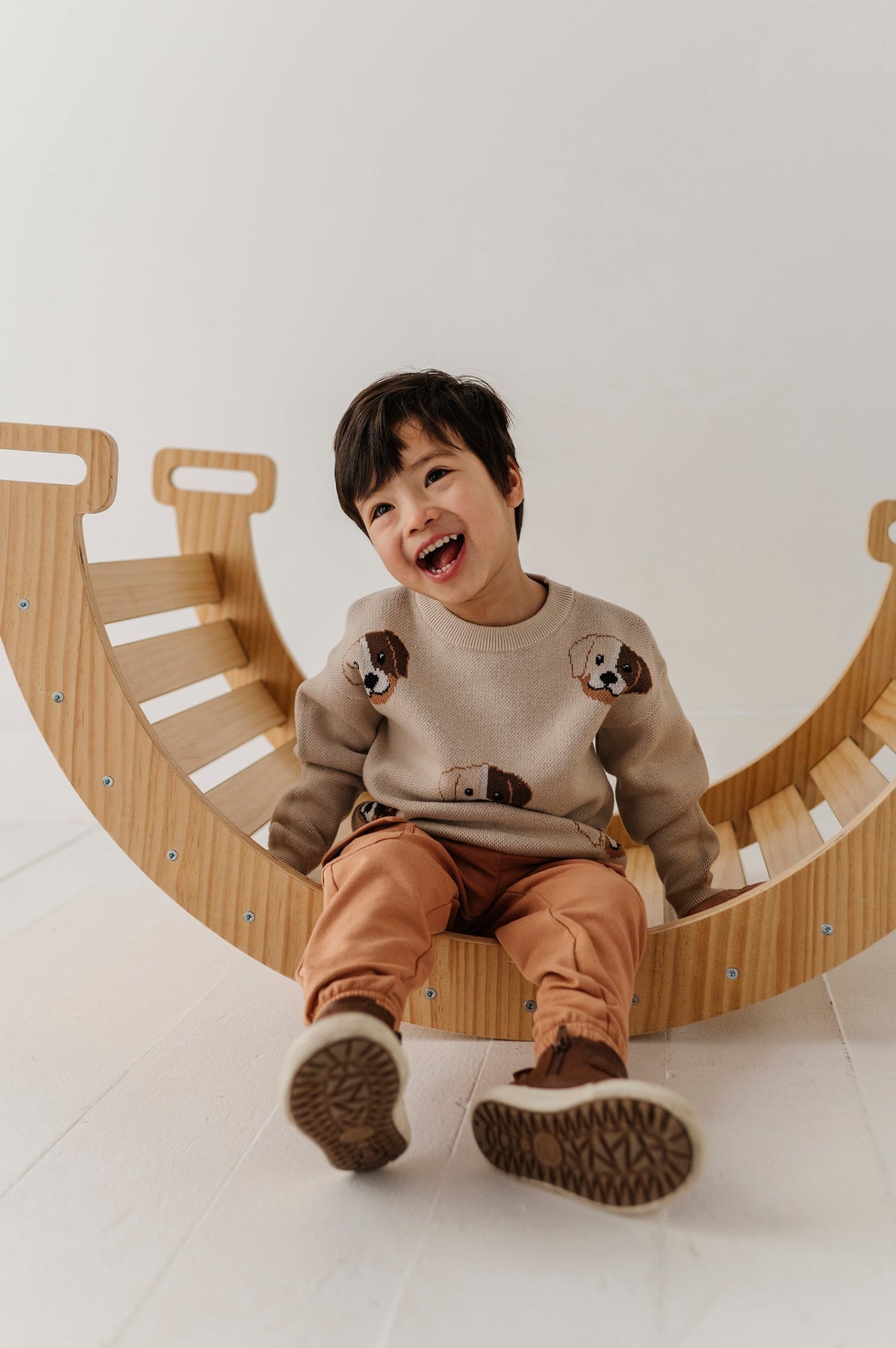 Boys Knit Sweater In Puppies