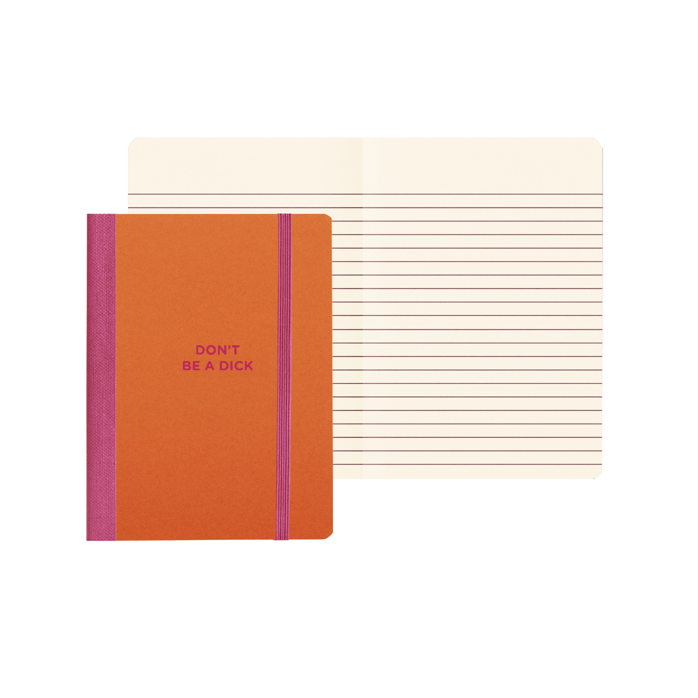 Don't Be A Dick Mini Notebook