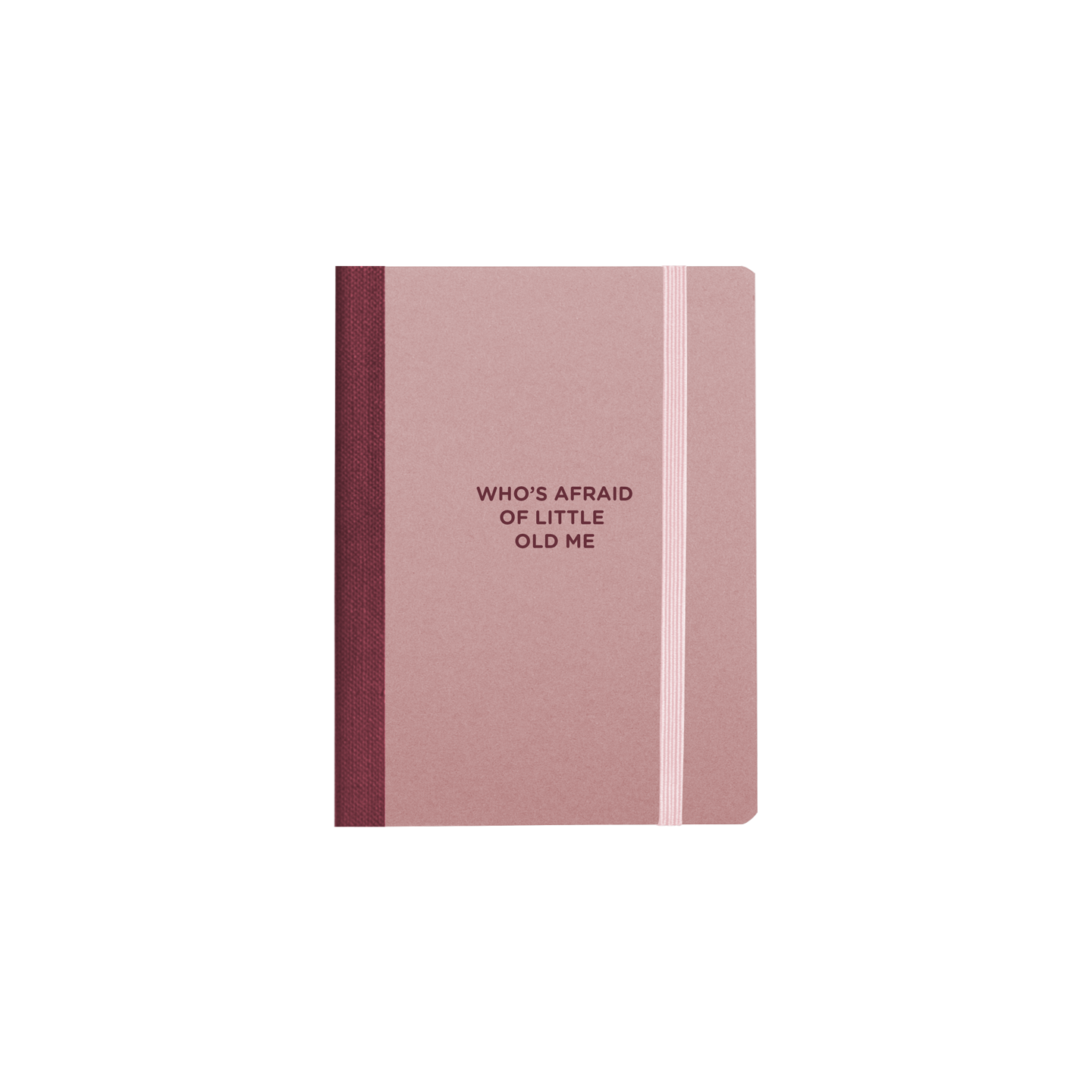 Who's Afraid Of Me Mini Notebook
