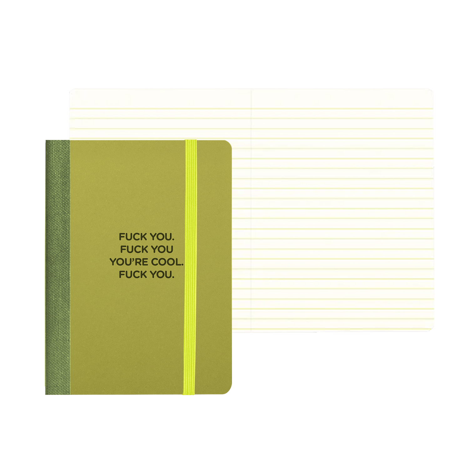Fuck You Mini Notebook