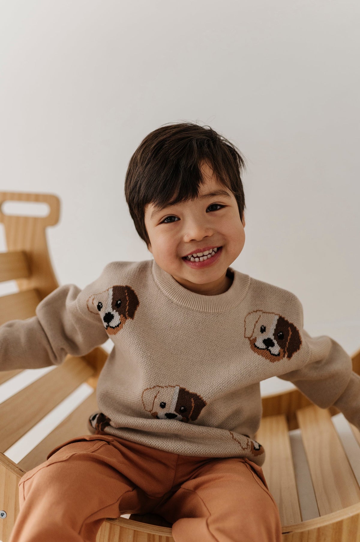 Boys Knit Sweater In Puppies