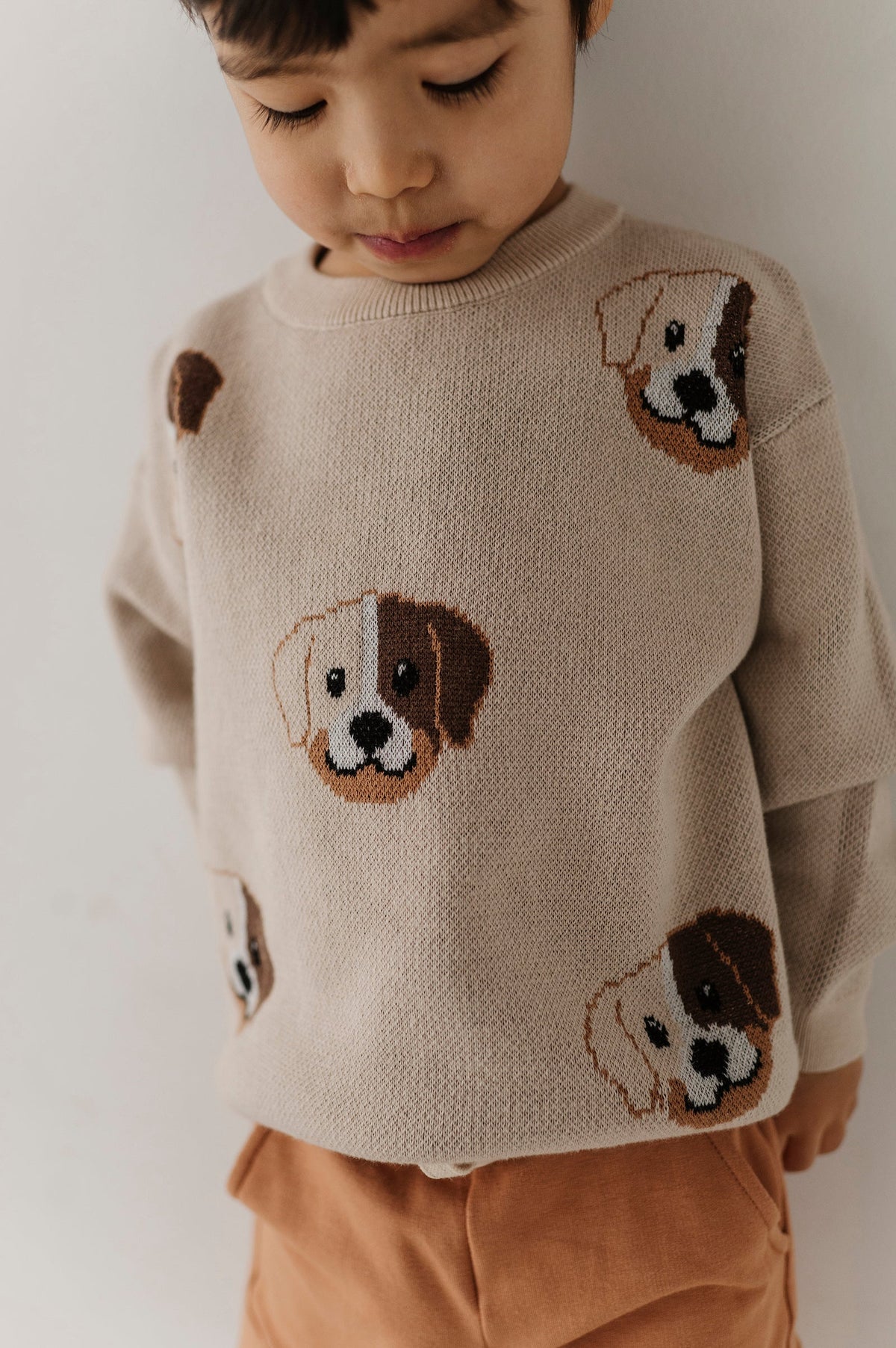 Boys Knit Sweater In Puppies