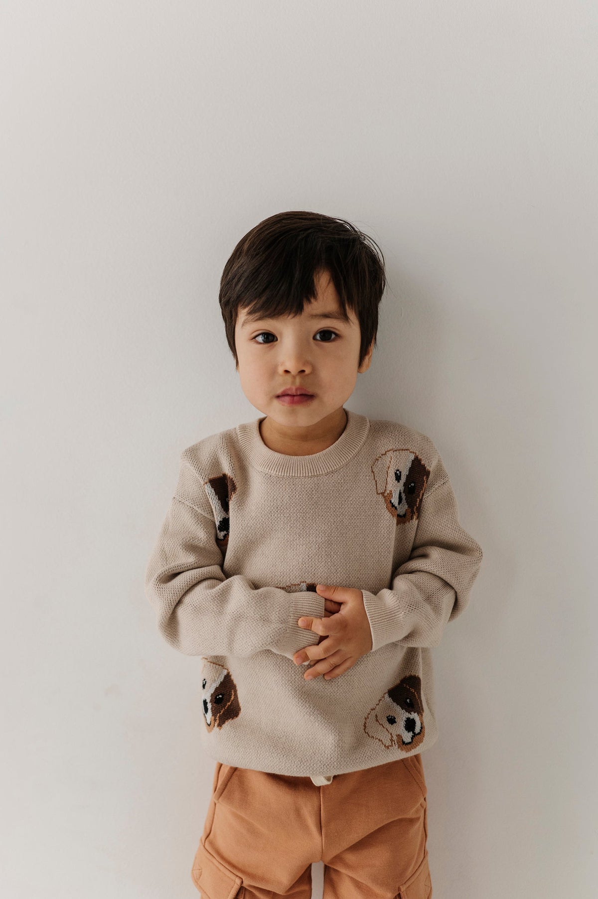 Boys Knit Sweater In Puppies