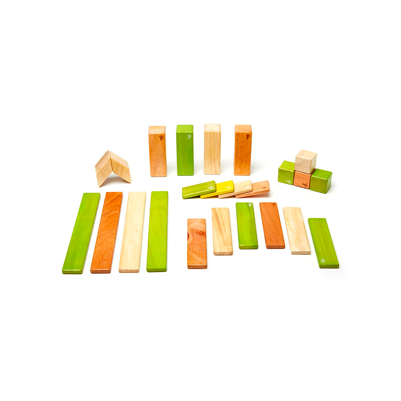 24-piece Set <br>magnetic Wooden Blocks <br>tegu Classics