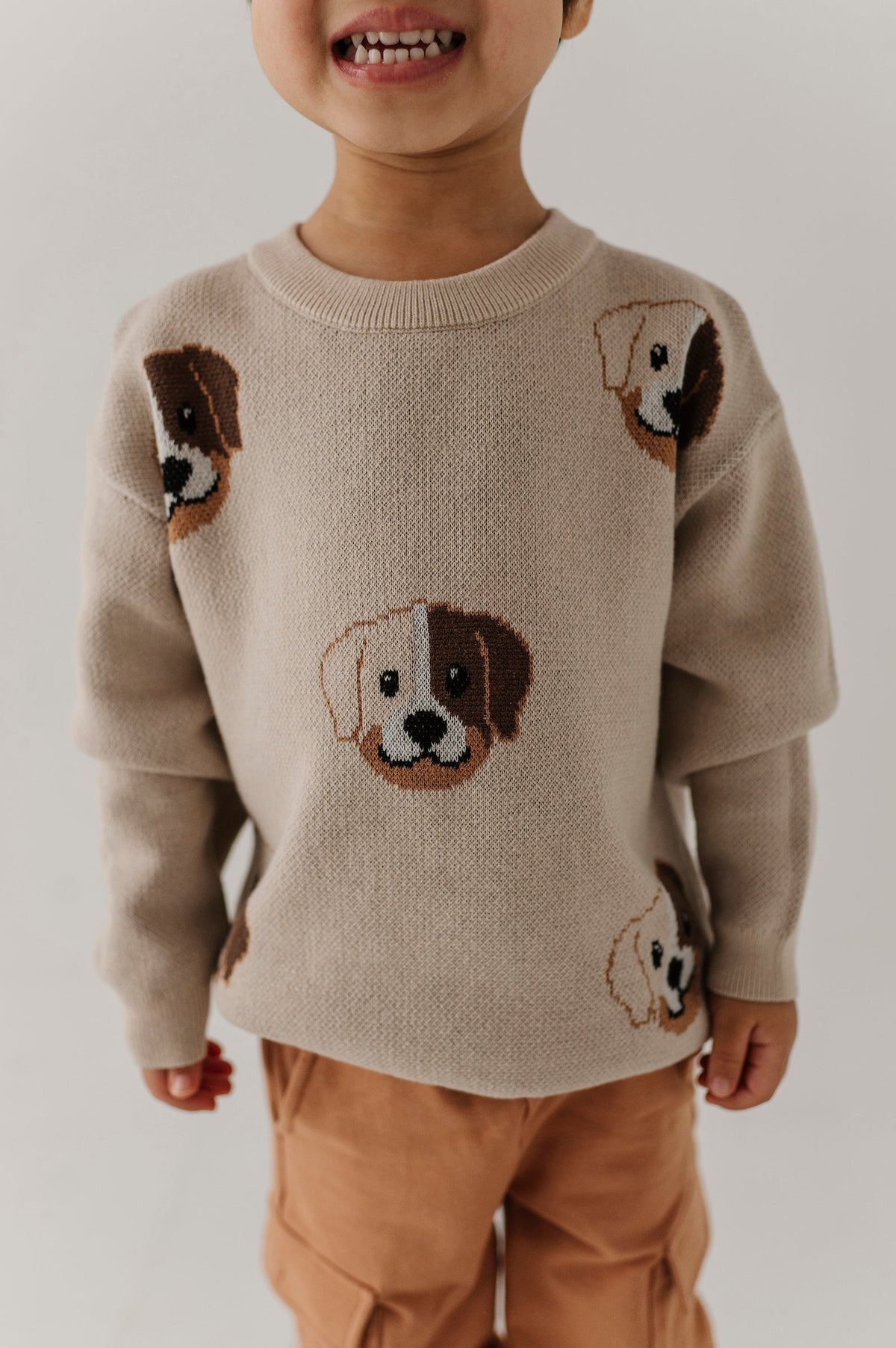 Boys Knit Sweater In Puppies