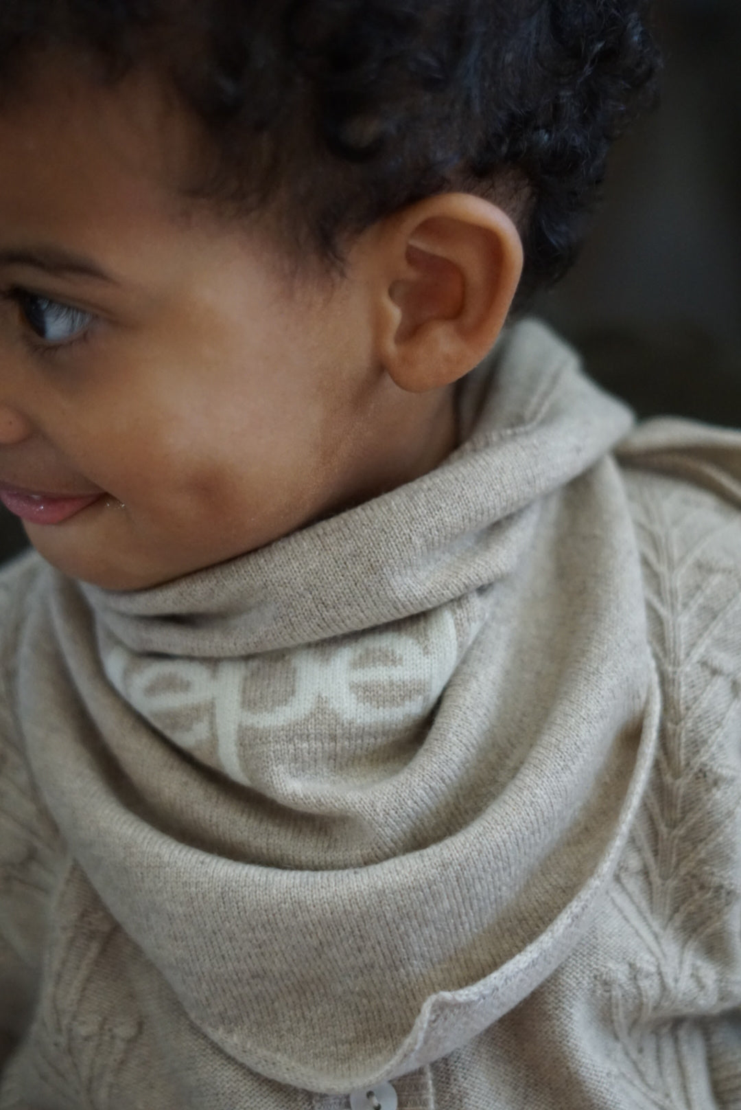 Cashmere Triangle Heritage Bandana Scarf | Beige Melange