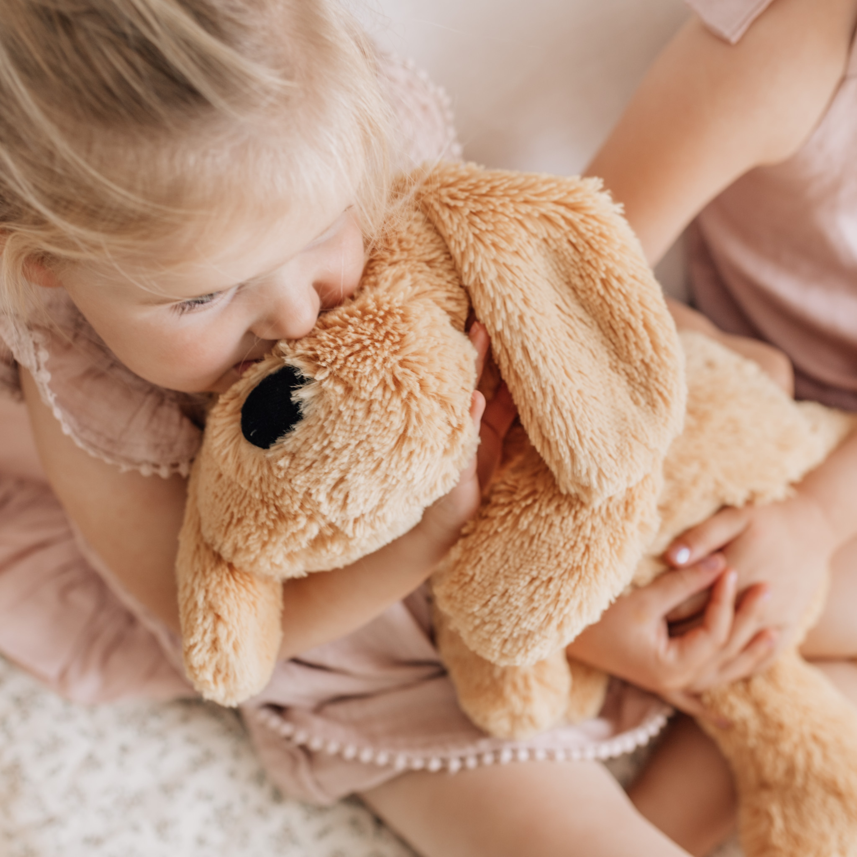 Charlie The Weighted Puppy Dog