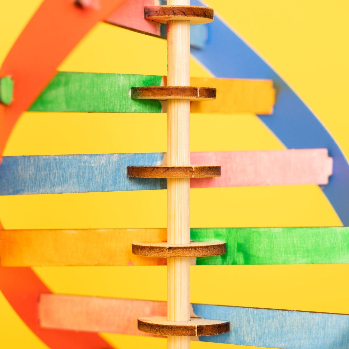 Diy Dna Double Helix Model Kit – Build & Paint Biology Stem Project