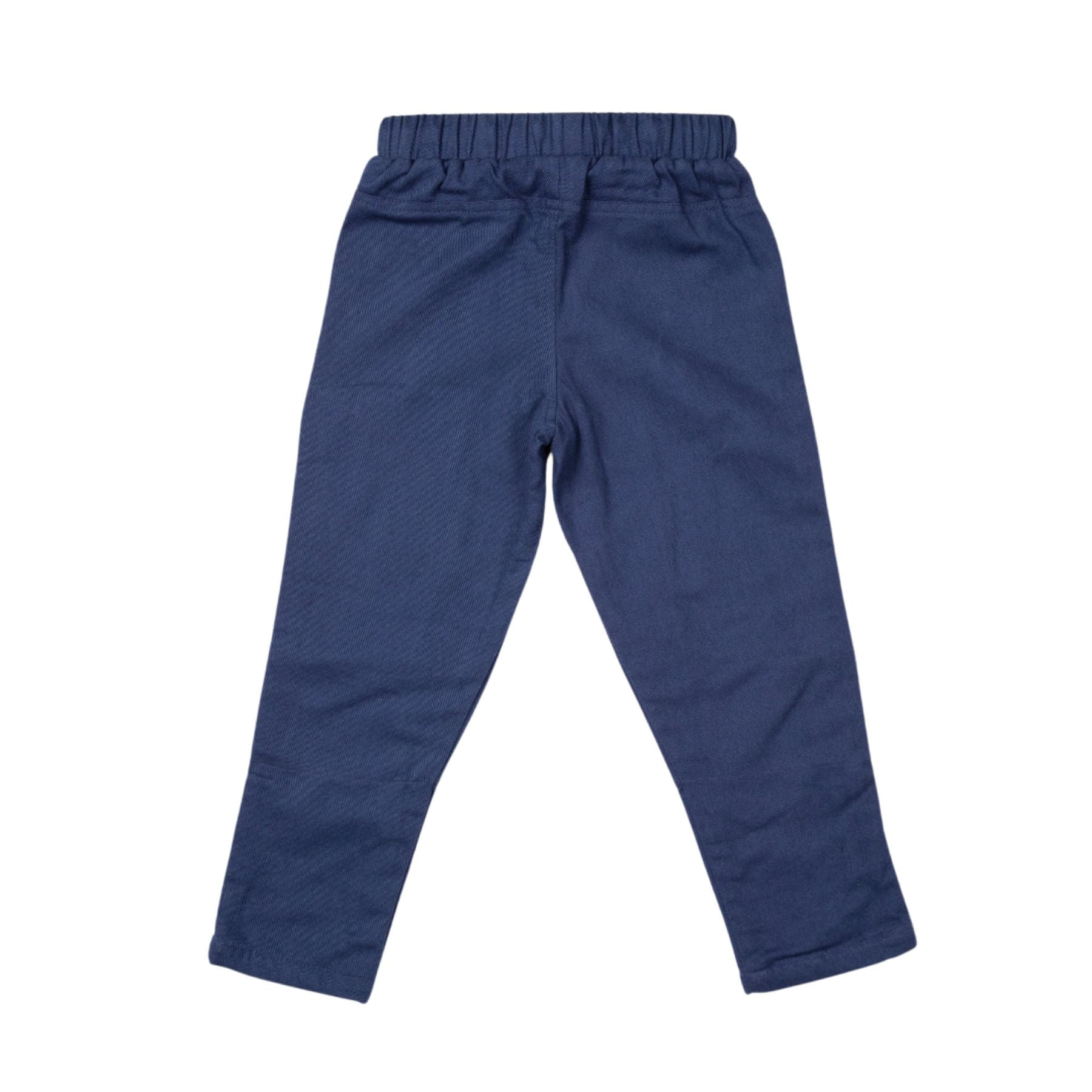 Lined Ash Pants Navy