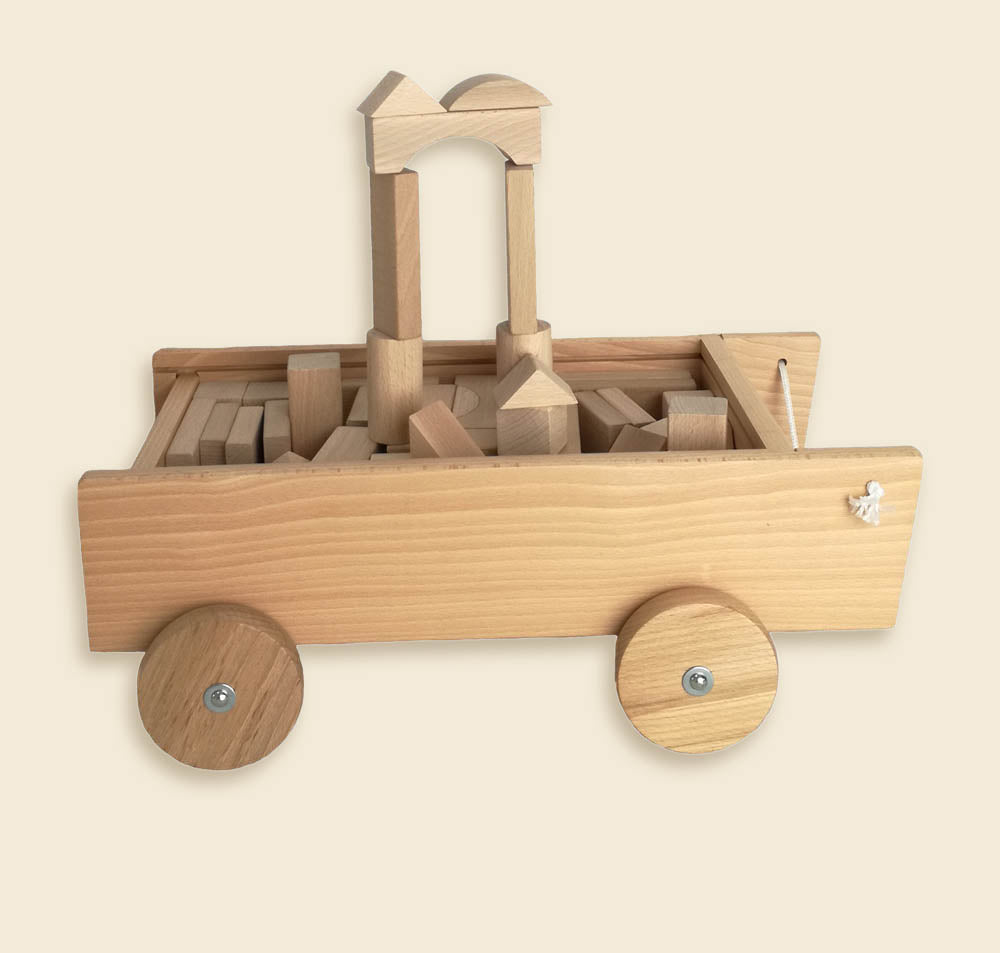 Pull-Along Truck with 98 Blocks