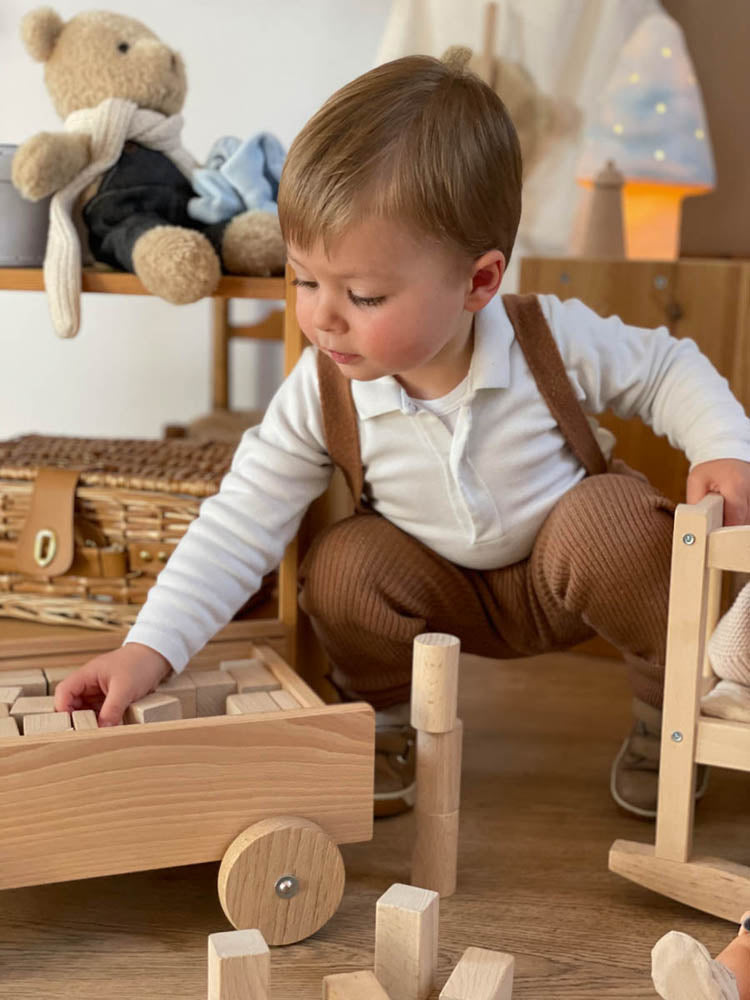 Pull-Along Truck with 98 Blocks